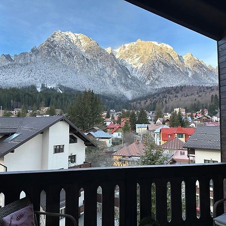 The View Apartment Buşteni Zewnętrze zdjęcie